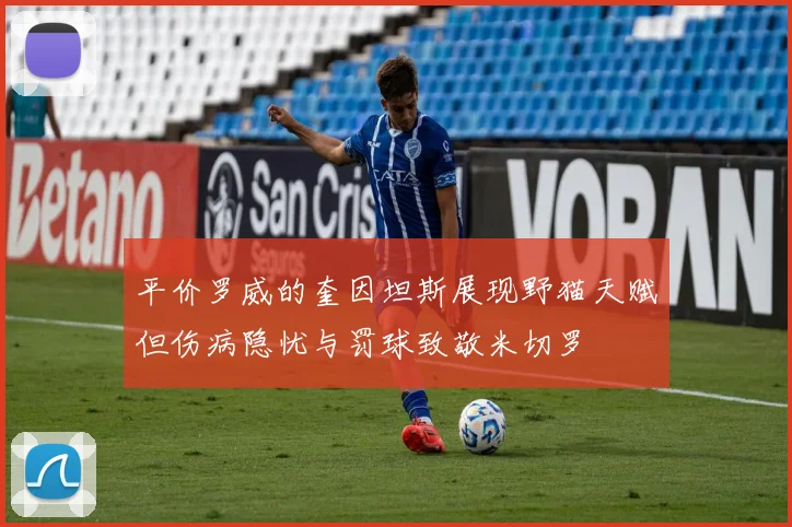 平价罗威的奎因坦斯展现野猫天赋但伤病隐忧与罚球致敬米切罗