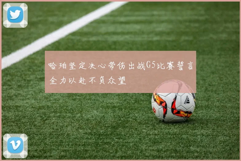 哈珀坚定决心带伤出战G5比赛誓言全力以赴不负众望